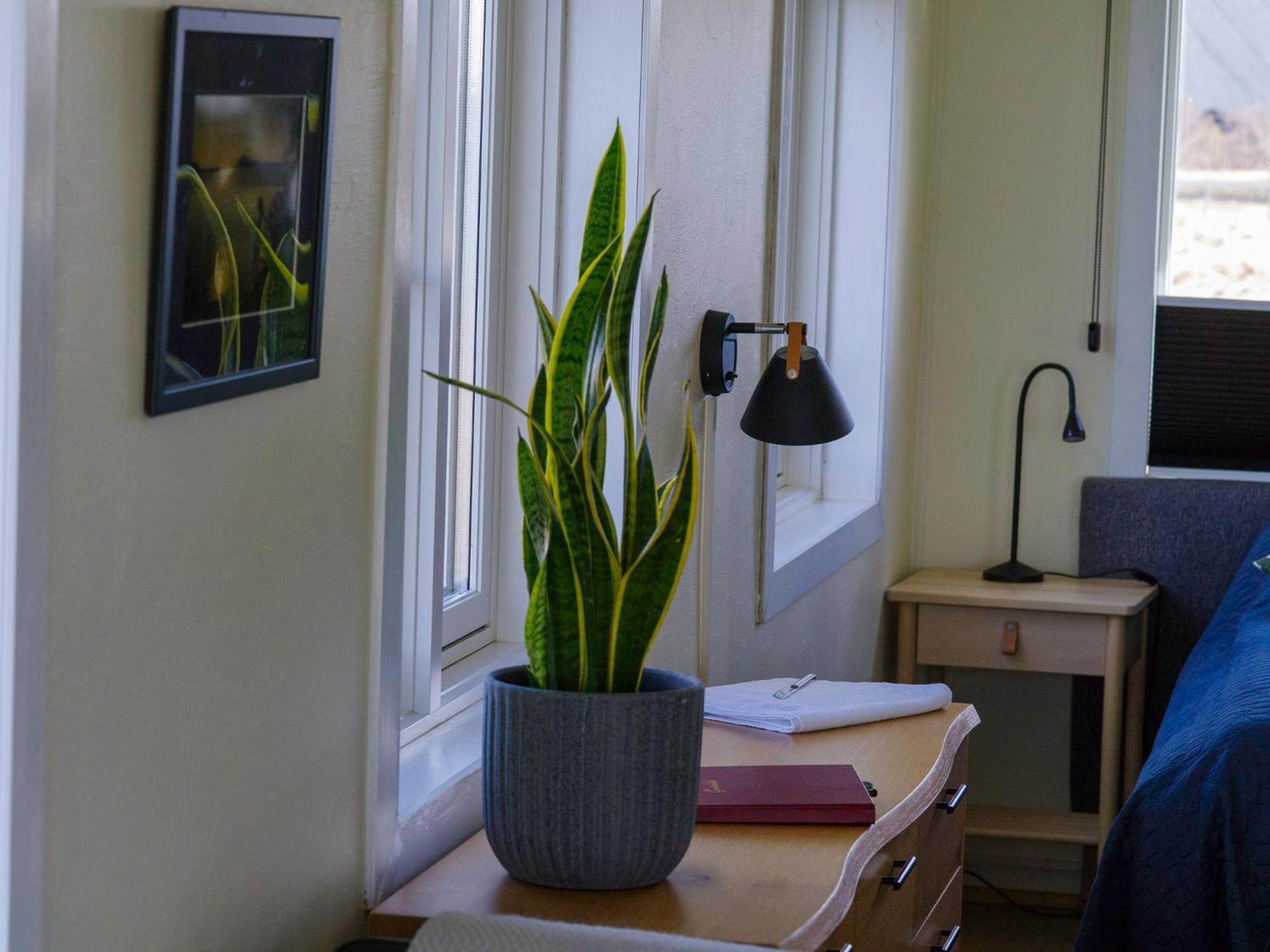 Myvo The Studio Apartment At Geiteyjarstroend 4 Reykjahlíð 外观 照片
